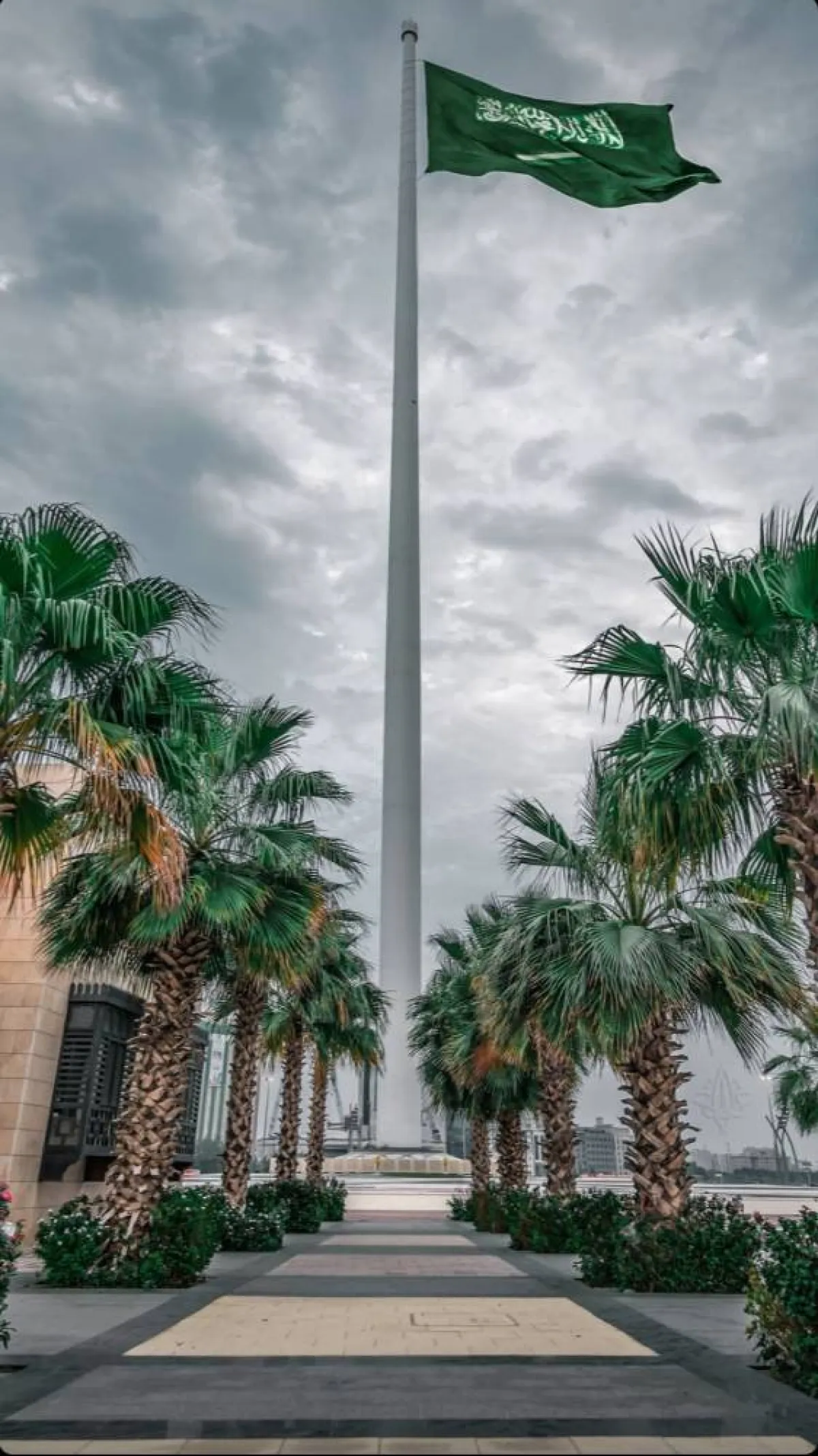 الصوره حساب المصور عبدالله غزالي على الانستقرام@a-a-ghazal