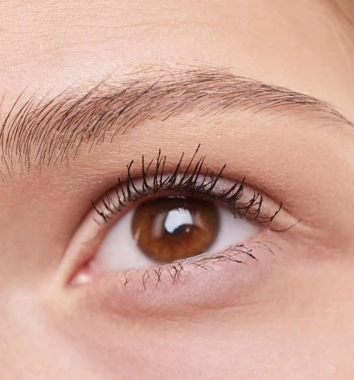 علاج الكيس الدهني بالعين