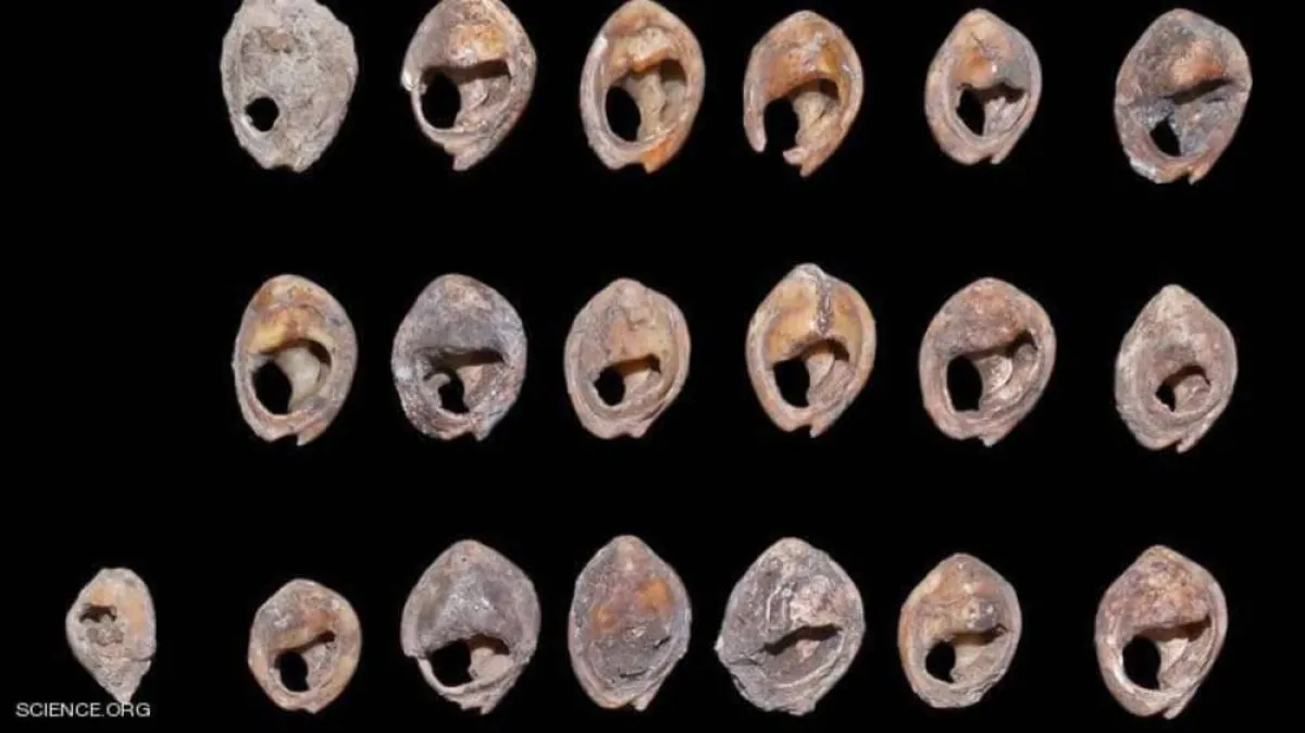 أقدم مجوهرات عمرها آلاف السنين ووجدت في المغرب