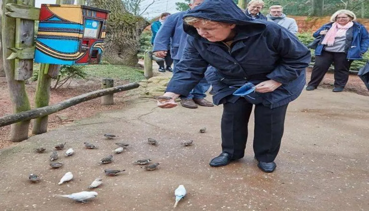 ماركل تطعم الطيور