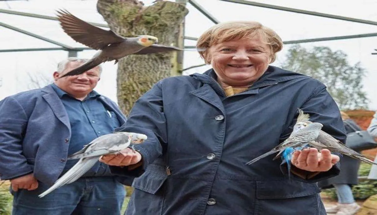 أنجيلا مع الطيور