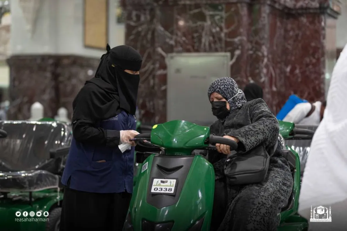 بلغ عدد العربات (8000) عربة