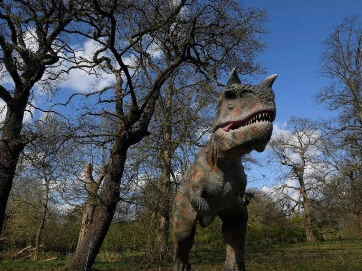 مخاوف من تكرار مأساة الانقراض الجماعي بـ "الحساء السام"