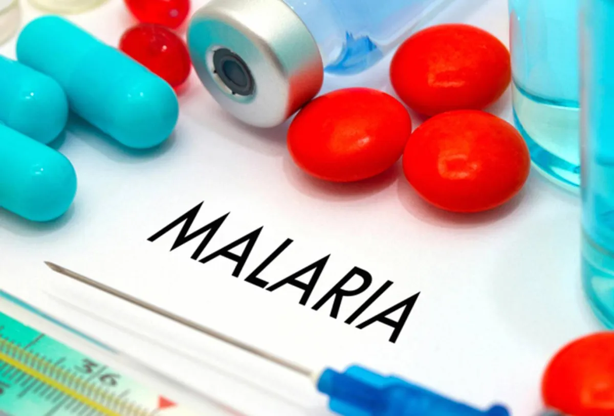 صورة للملاريا 