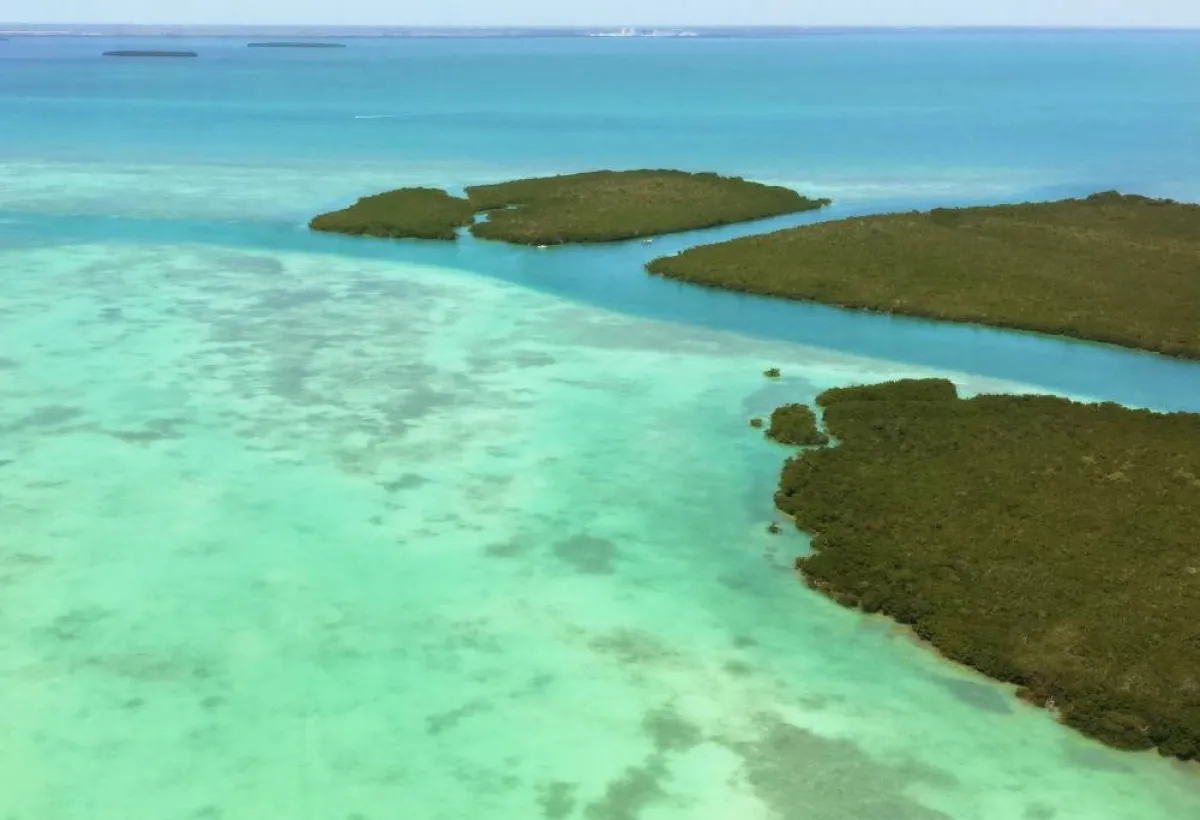 أفكار لقضاء شهر عسل اقتصادي