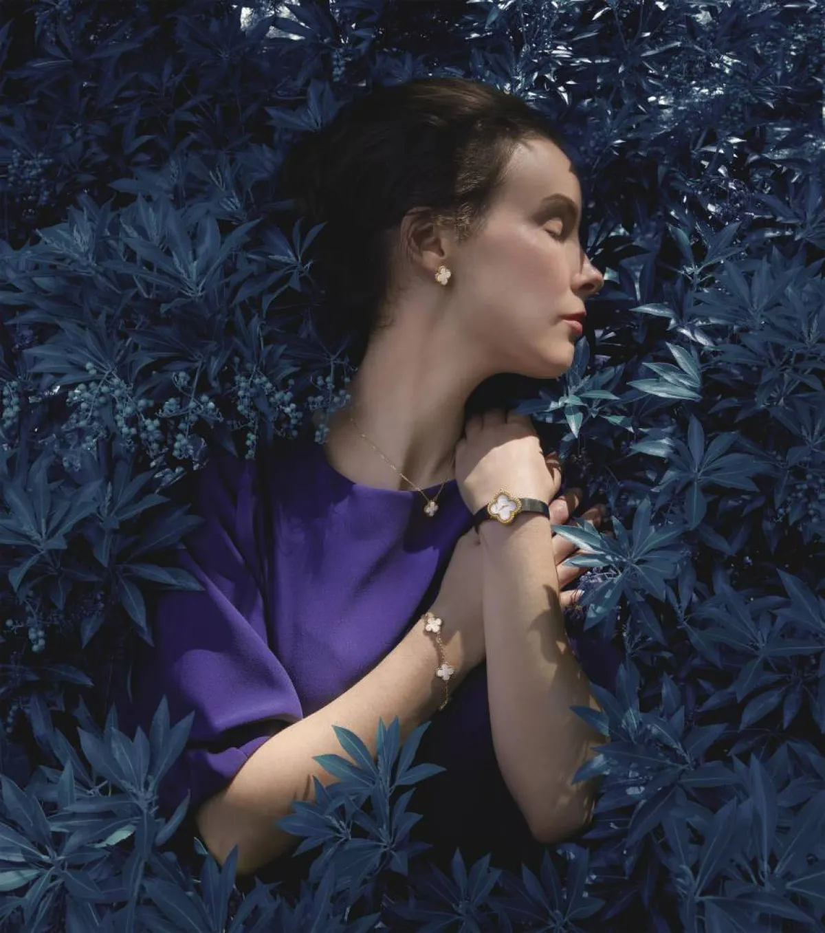  مجموعة ألامبرا من فان كليف أند آربلز في المملكة العربية السعودية