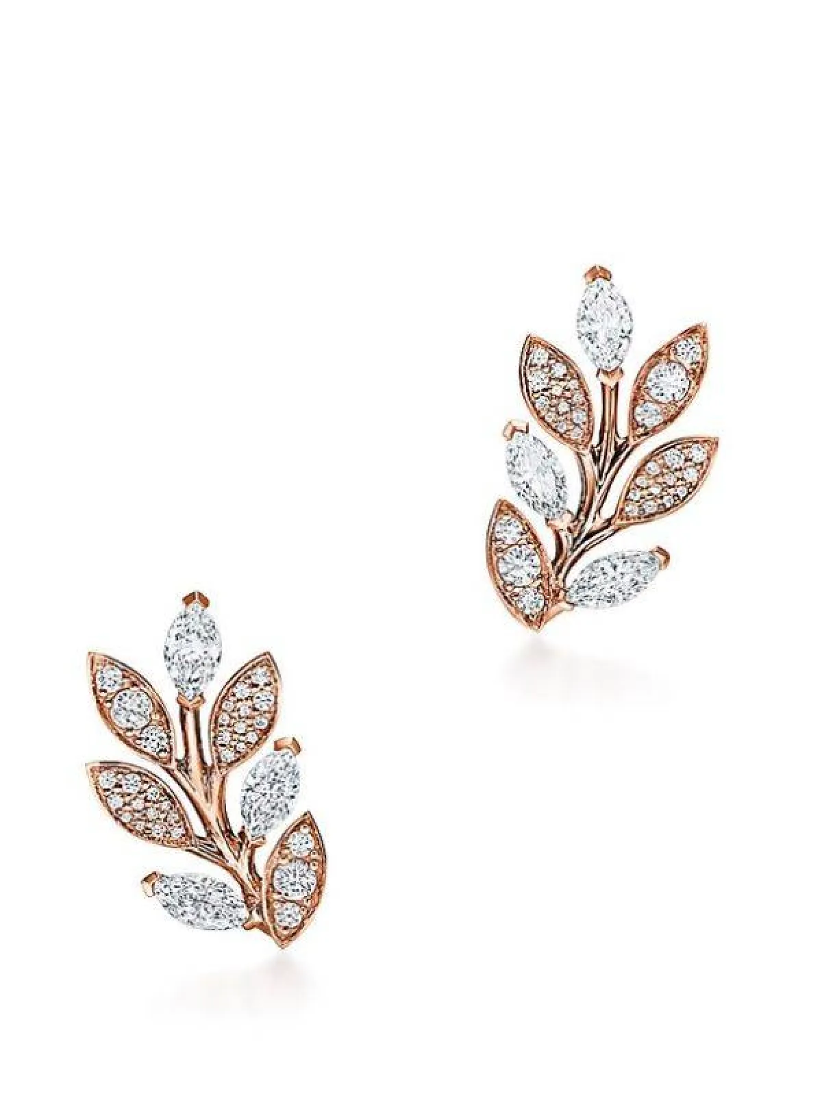 أقراط أوراق الشجر المتسلقة من تيفاني أند كو Tiffany & co