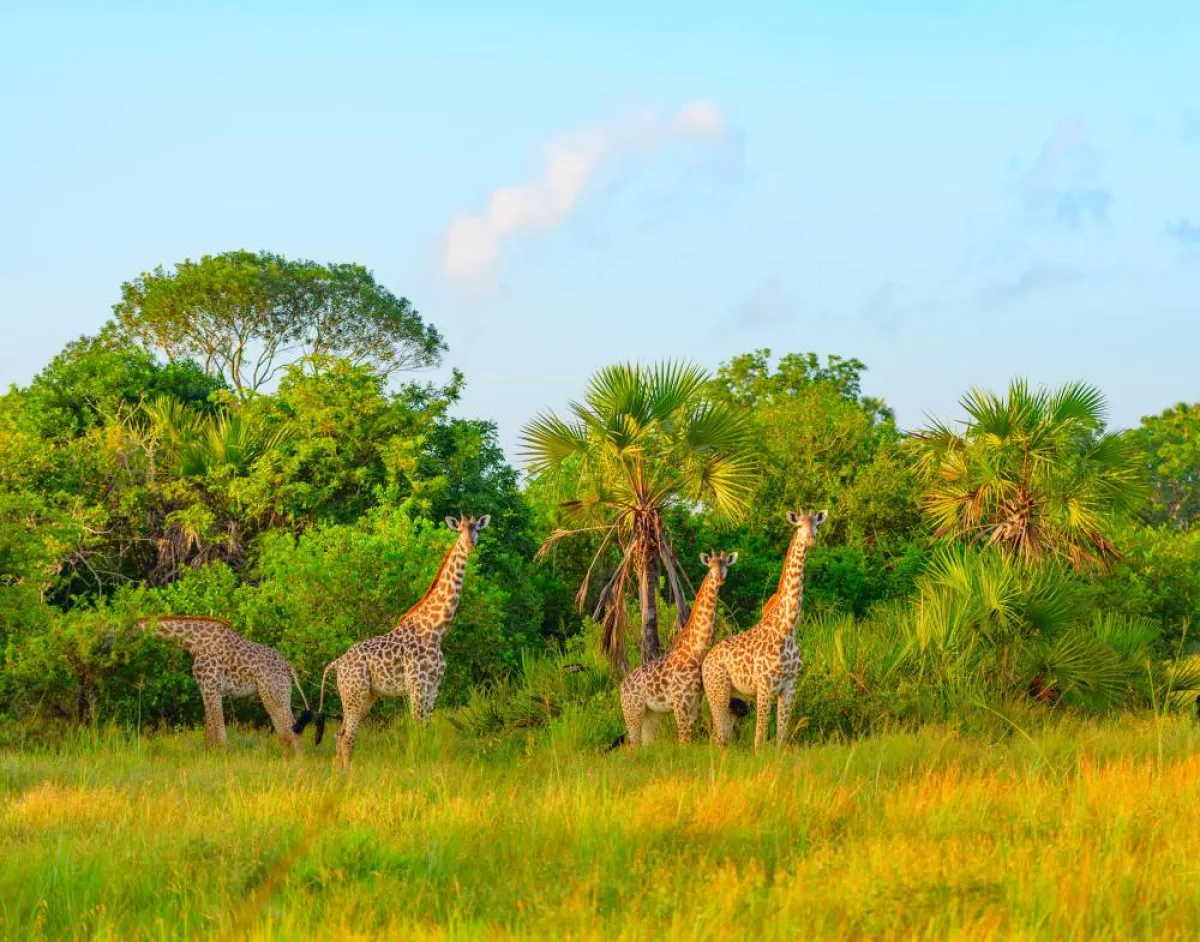اماكن سياحية في تنزانيا