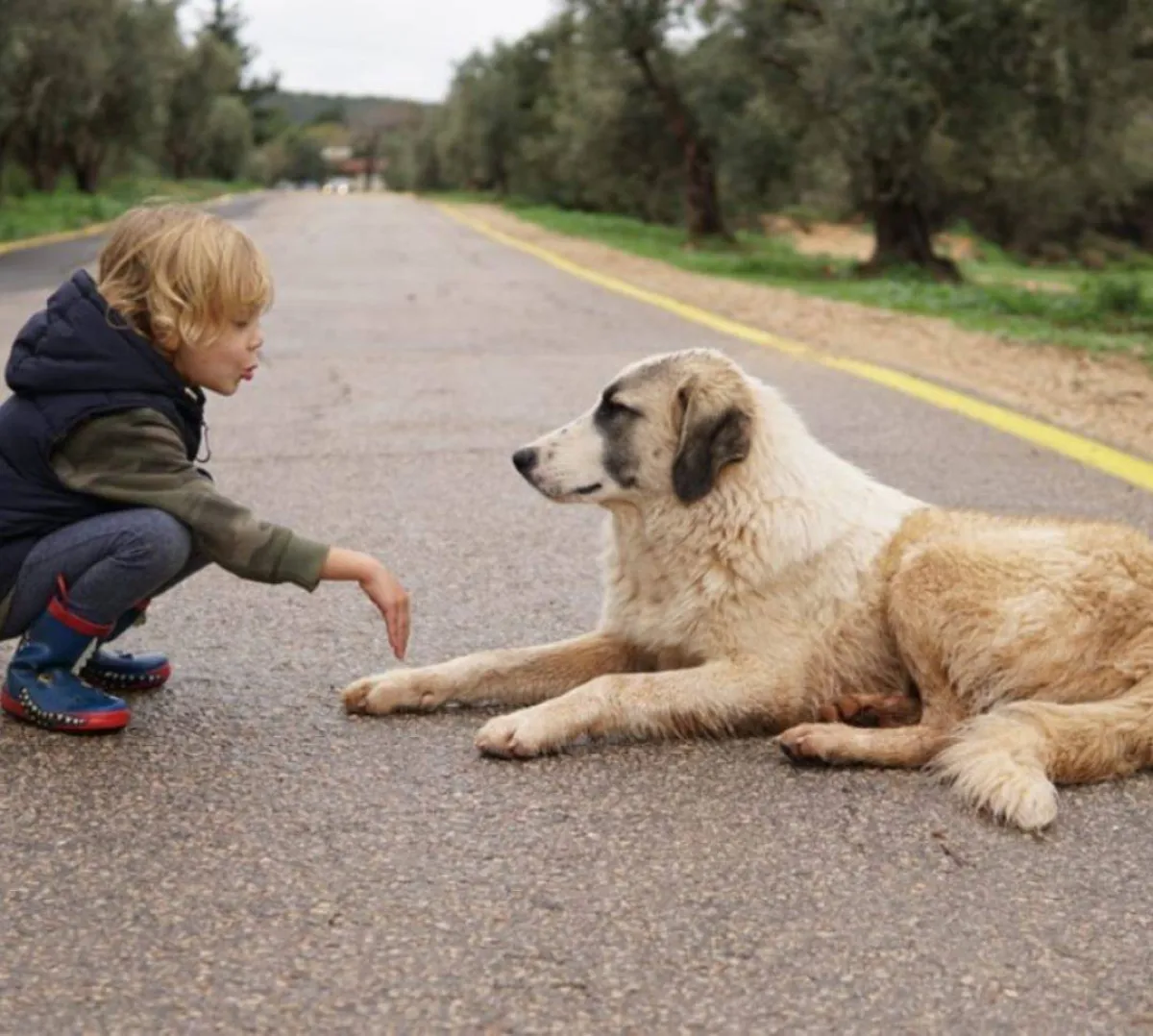 أبرز اعراض الإصابة بداء الكلب قد تودي بالحياة