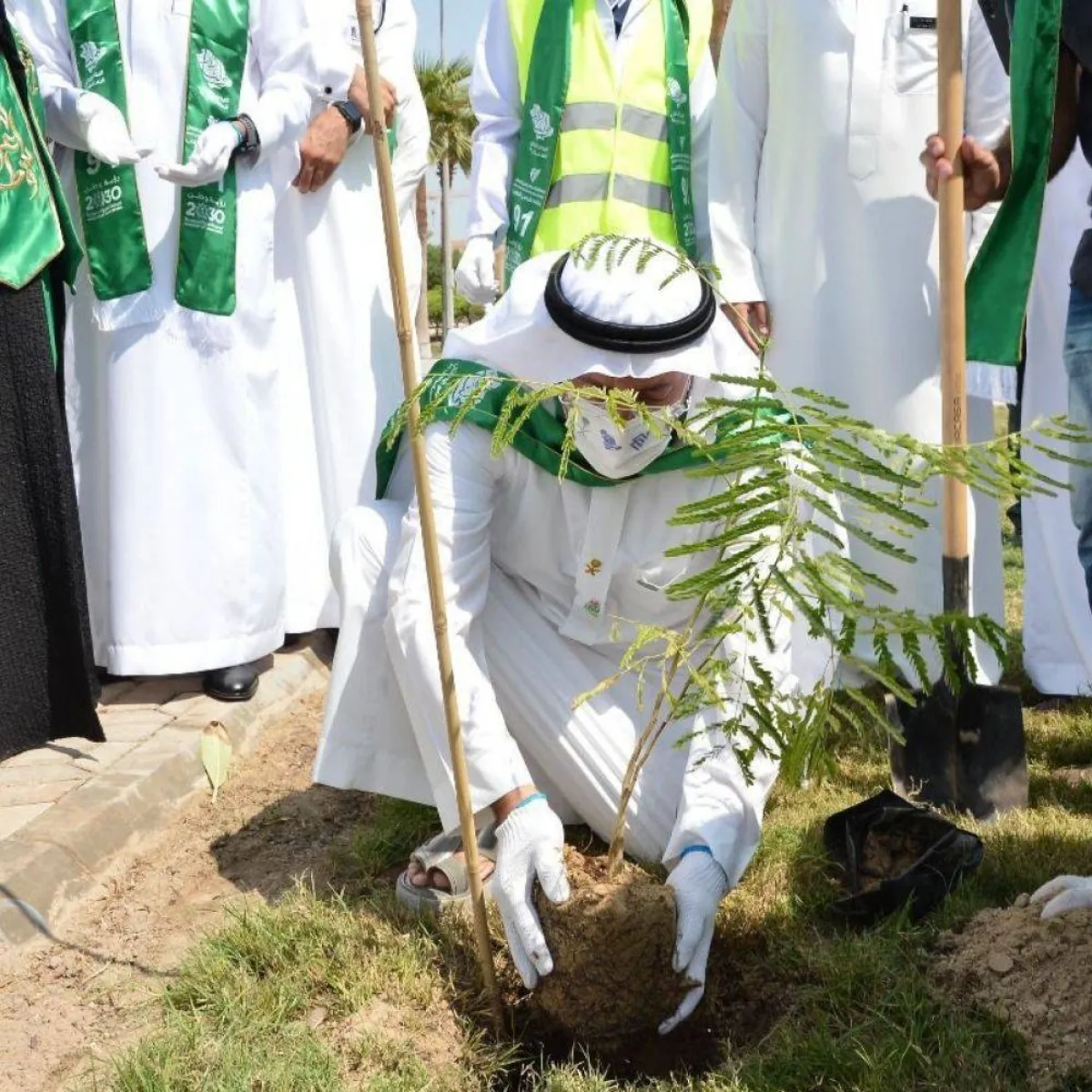 تدشين مبادرة جامعة خضراء بلا كربون