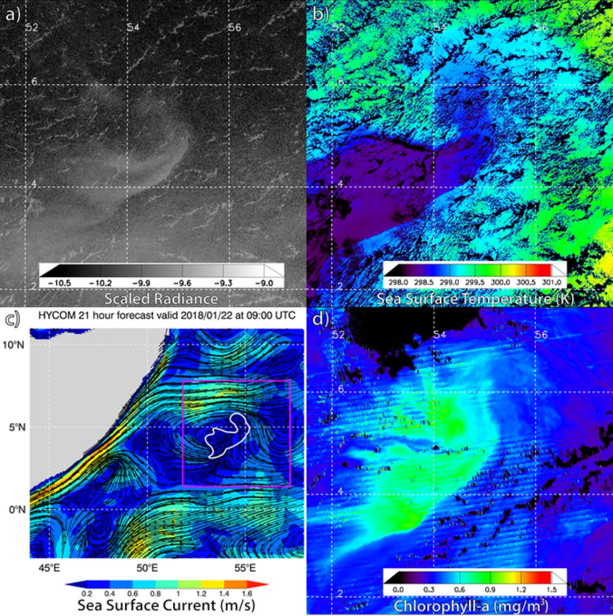 رصد بقع ضوئية هائلة في المحيط