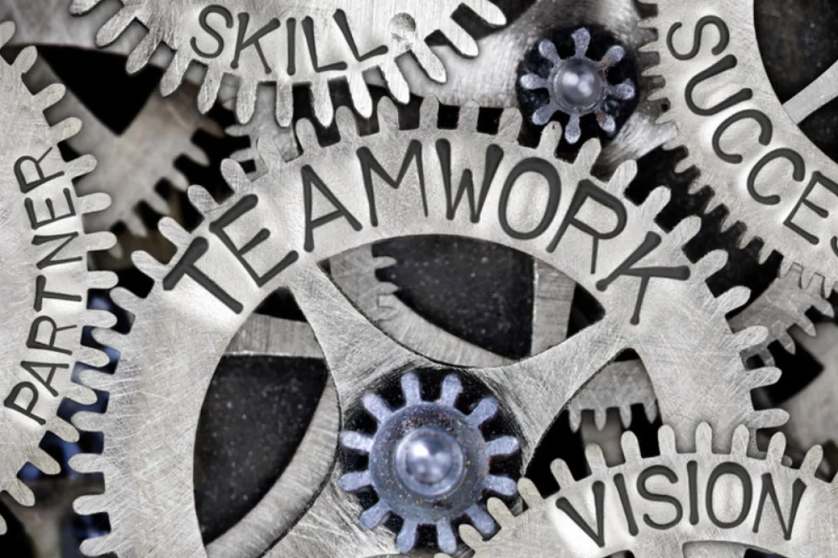 إدارة فريق العمل بنجاح