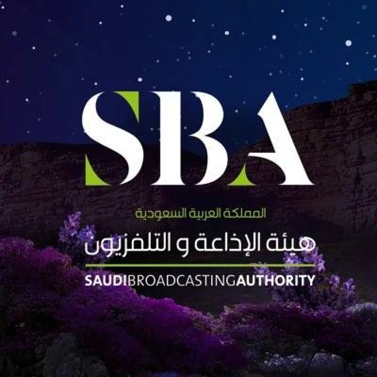 شعار هيئة الإذاعة والتلفزيون السعودية