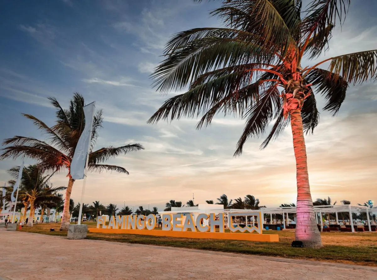 صورة لفعالية شاطئ فلامينجو 