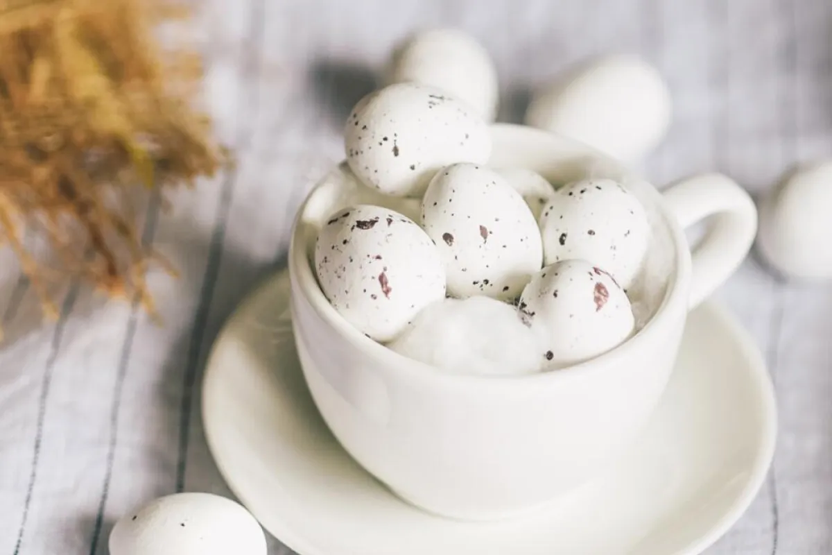  فوائد بيض السمان لا تخطر على بال