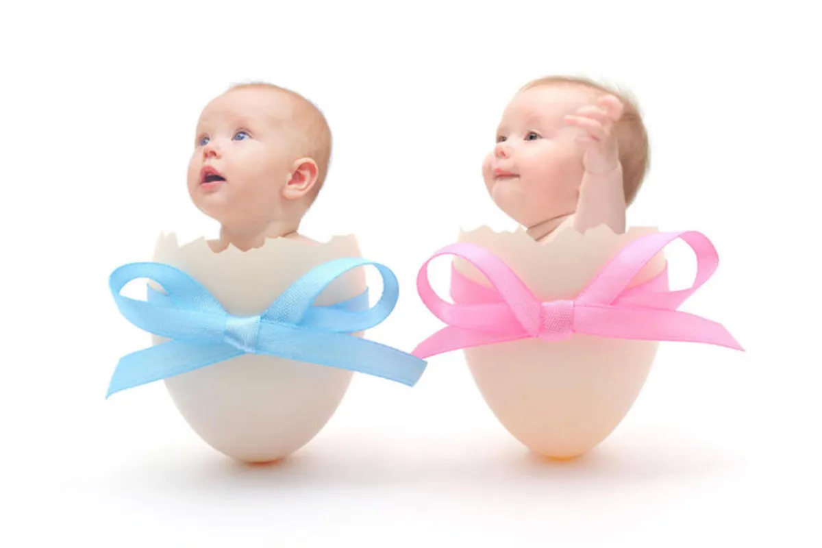 نوع الجنين وتاريخ الحمل