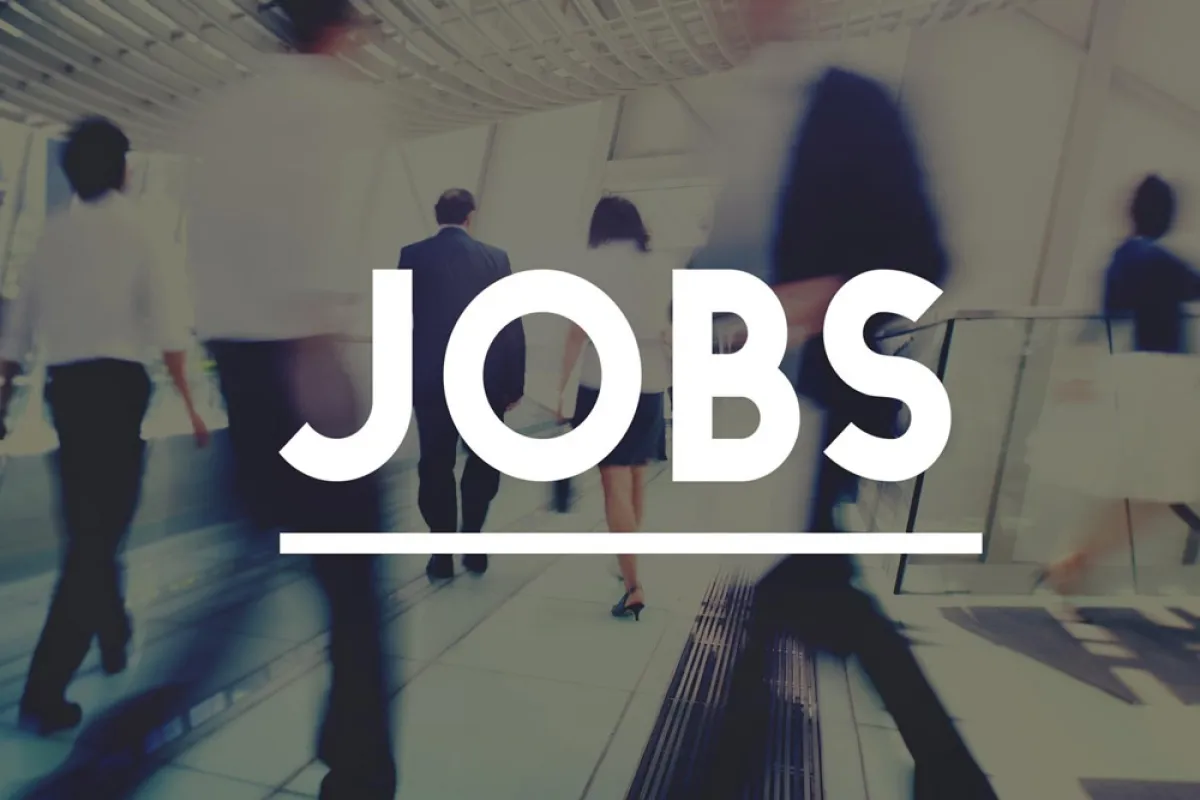 العمل الحكومي والعمل الخاص