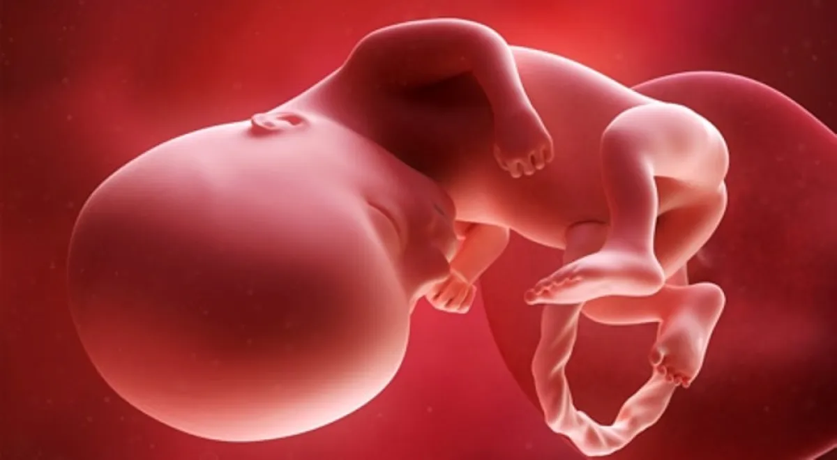 أصبح مكان العين واضحاً