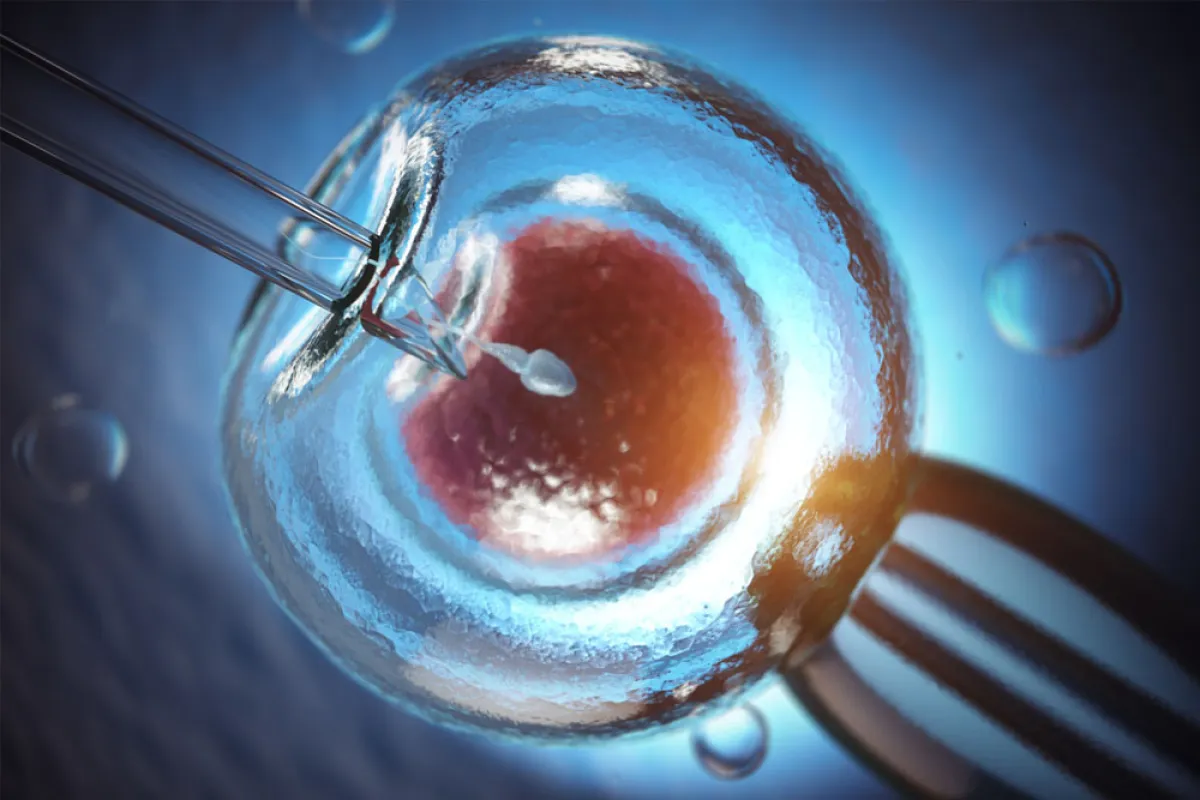 قبل أن تبدأي رحلة التلقيح الاصطناعي