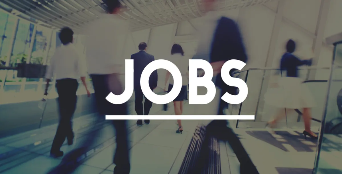 العمل الحكومي والعمل الخاص