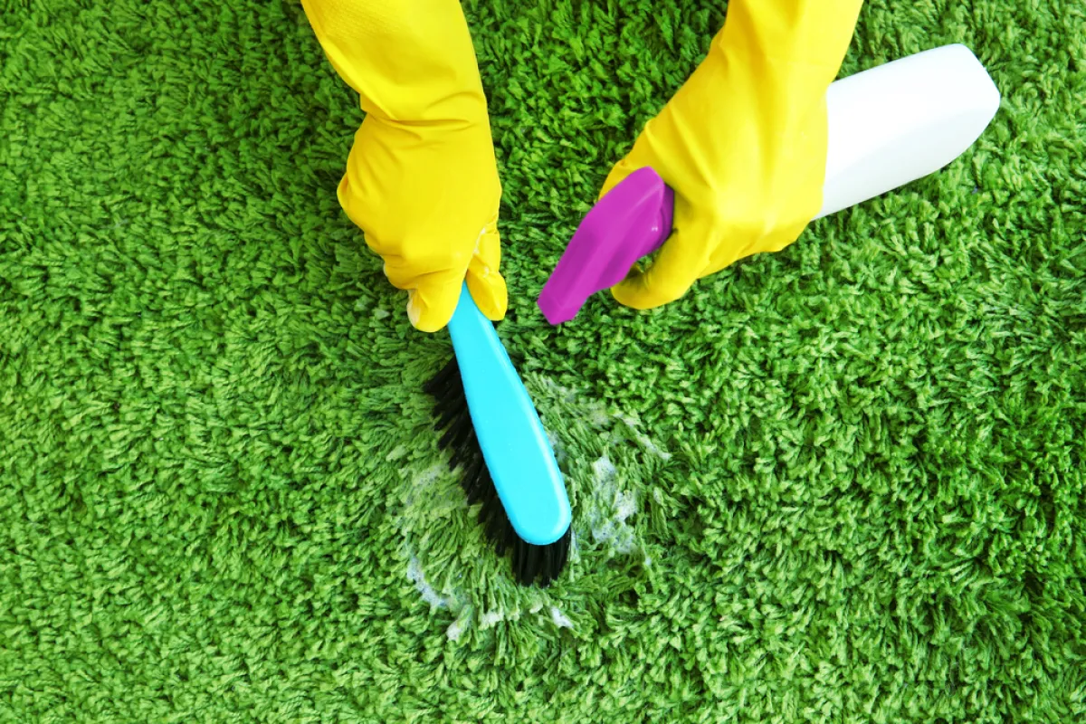 تنظيف الموكيت في المنزل