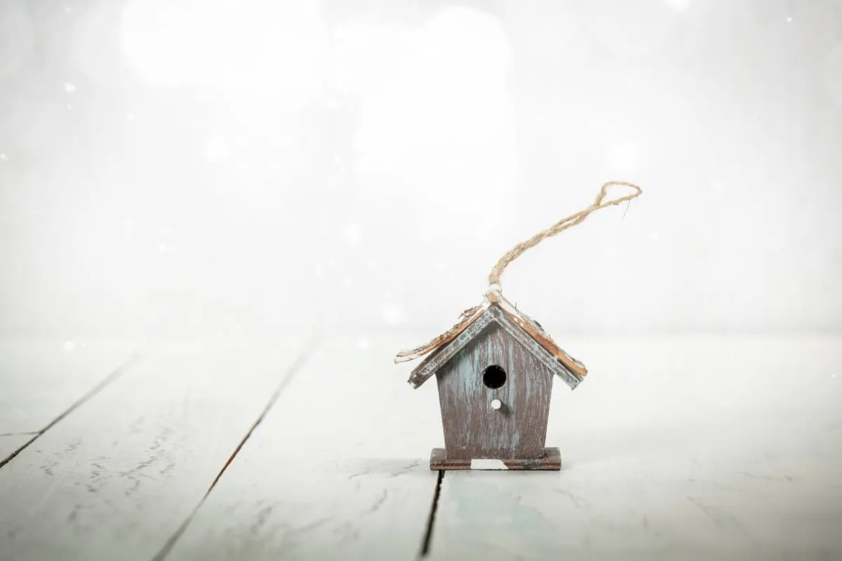 صورة لقفص طعام الطيور