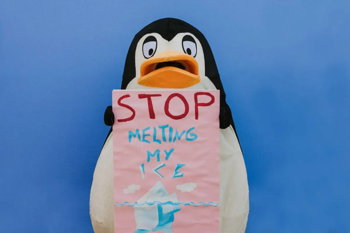 صورة لطائر البطريق