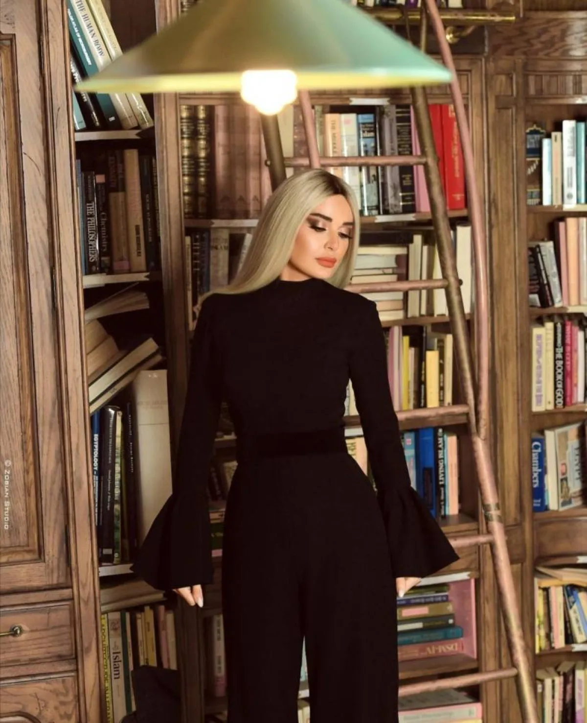 سيرين عبد النور باللون الأسود الأنيق