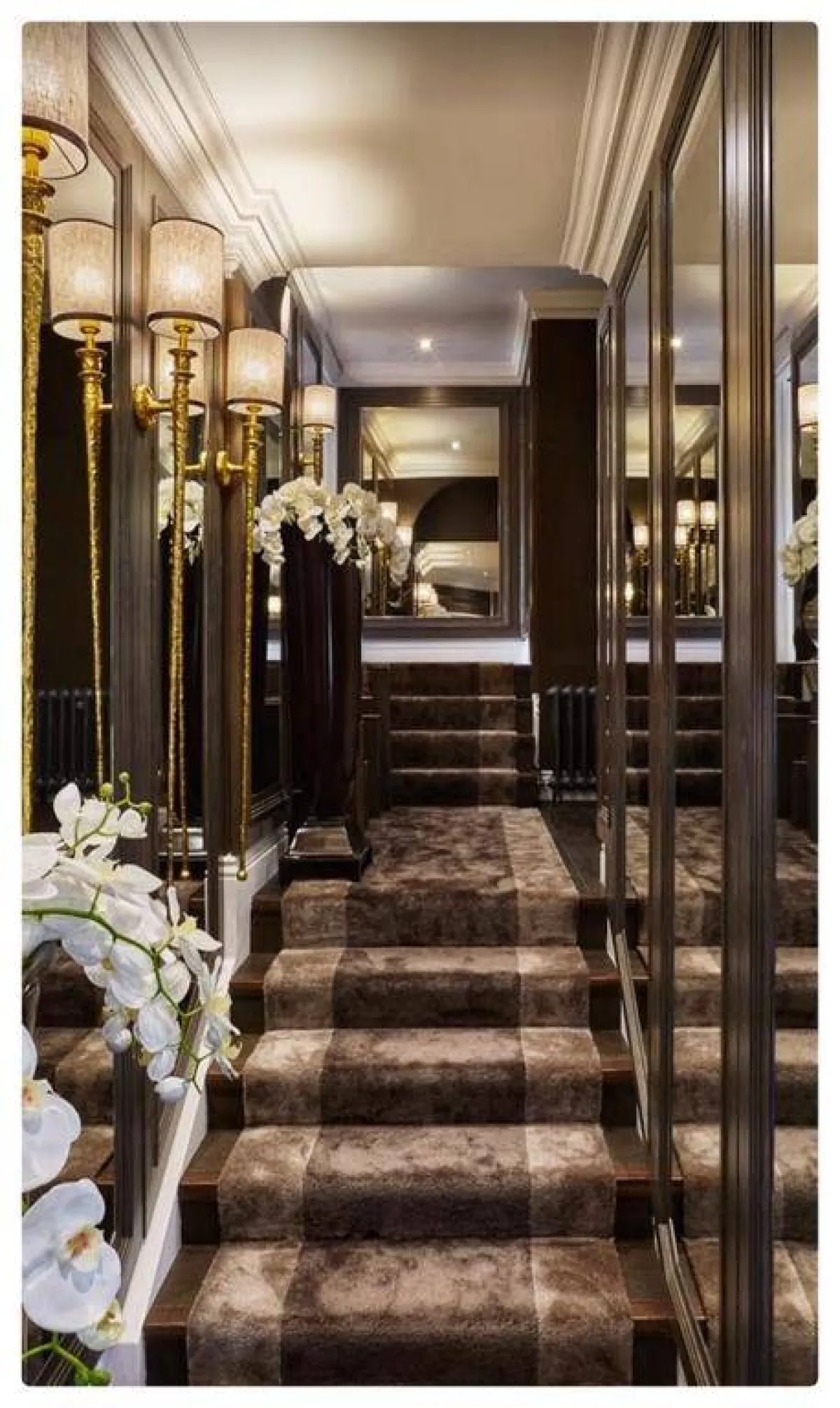 مزج الألوان الفاتحة والداكنة في تصميم السلالم  