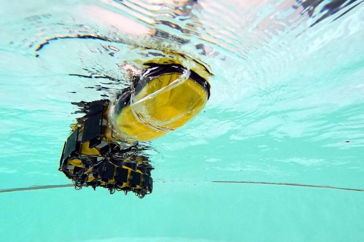 صورة الروبوت الذي يشبه الحبل الشوكي للإنسان