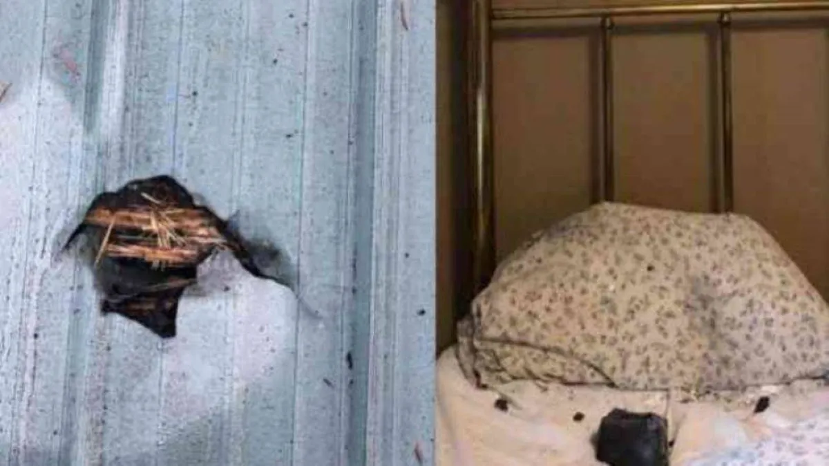 كندية تتفاجأ بسقوط صخرة سوداء على وسادتها أثناء نومها
