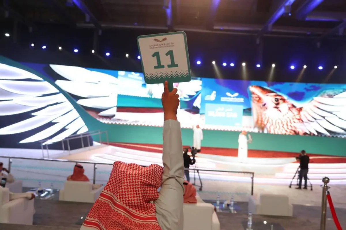 المزاد الخاص للصقور