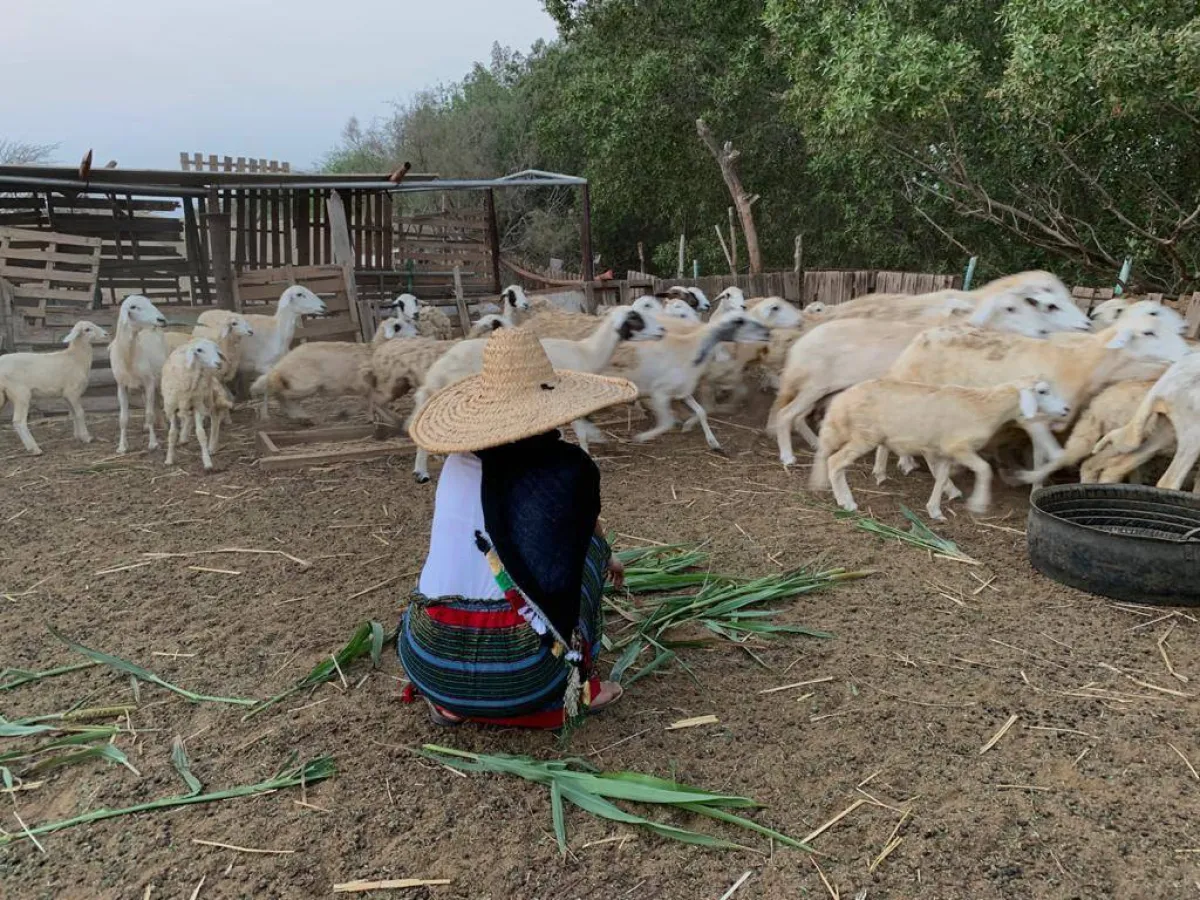 وزارة البيئة والمياه والزراعة تسلط الضوء على المرأة الريفية