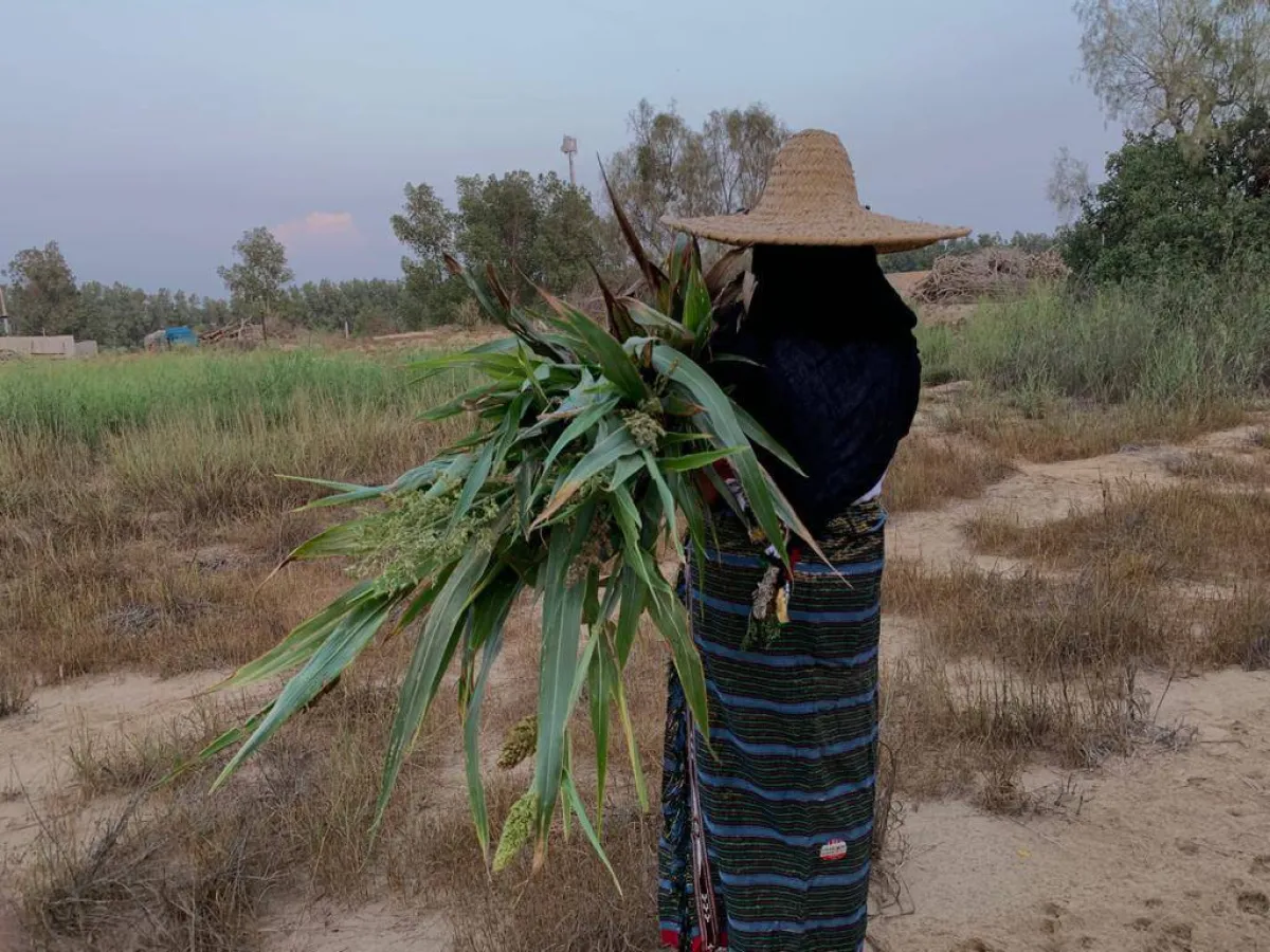 المرأة الريفية