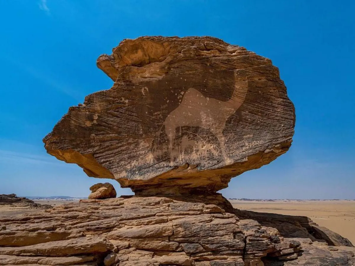 تراث السعودية 