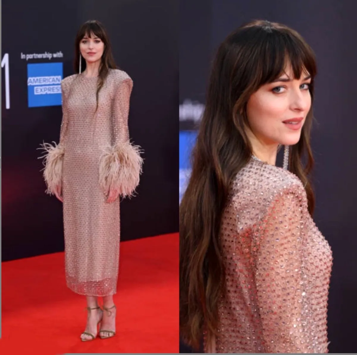 داكوتا جونسون ترتدي من غوتشي