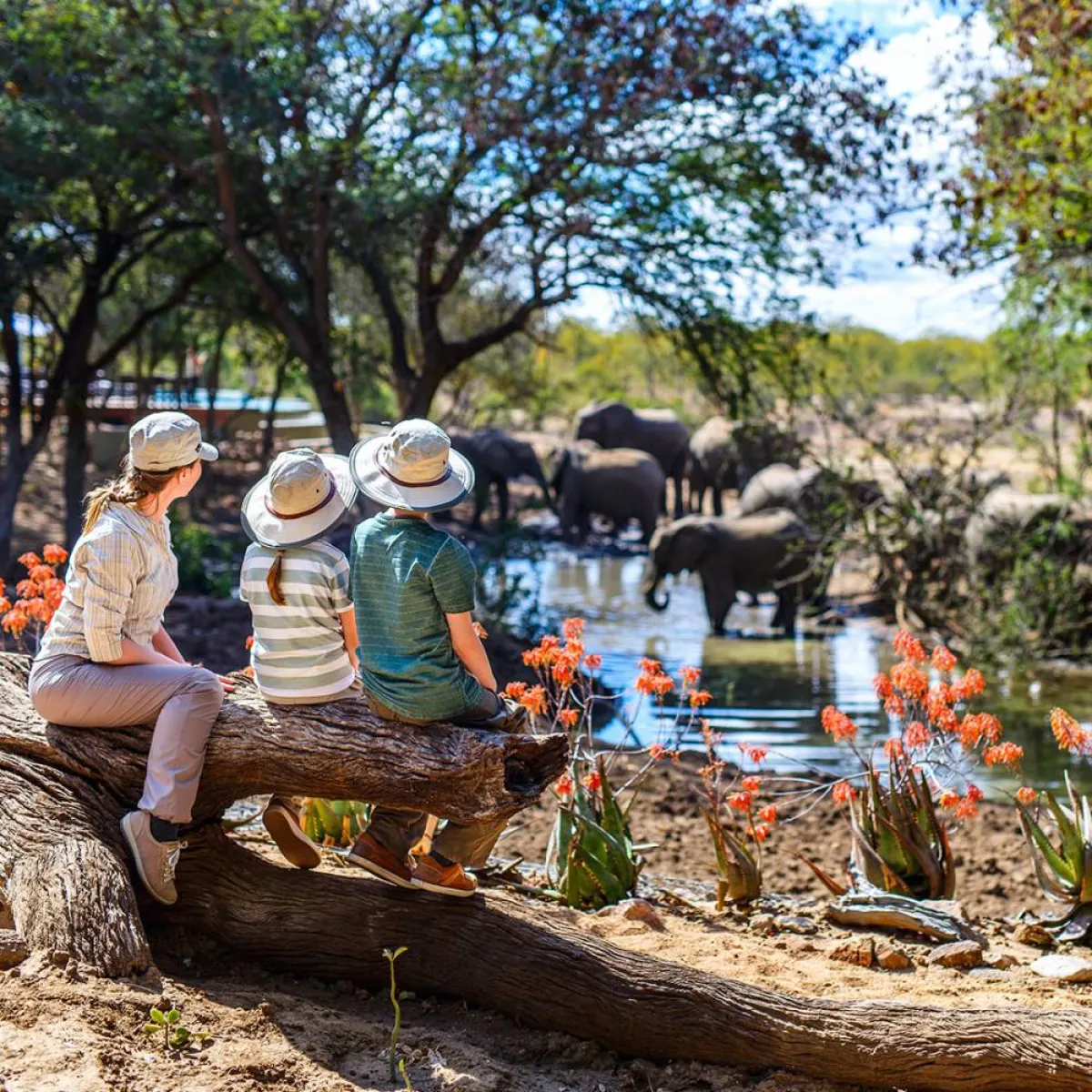 نصائح لضمان سلامة أطفالك في رحلات السفاري