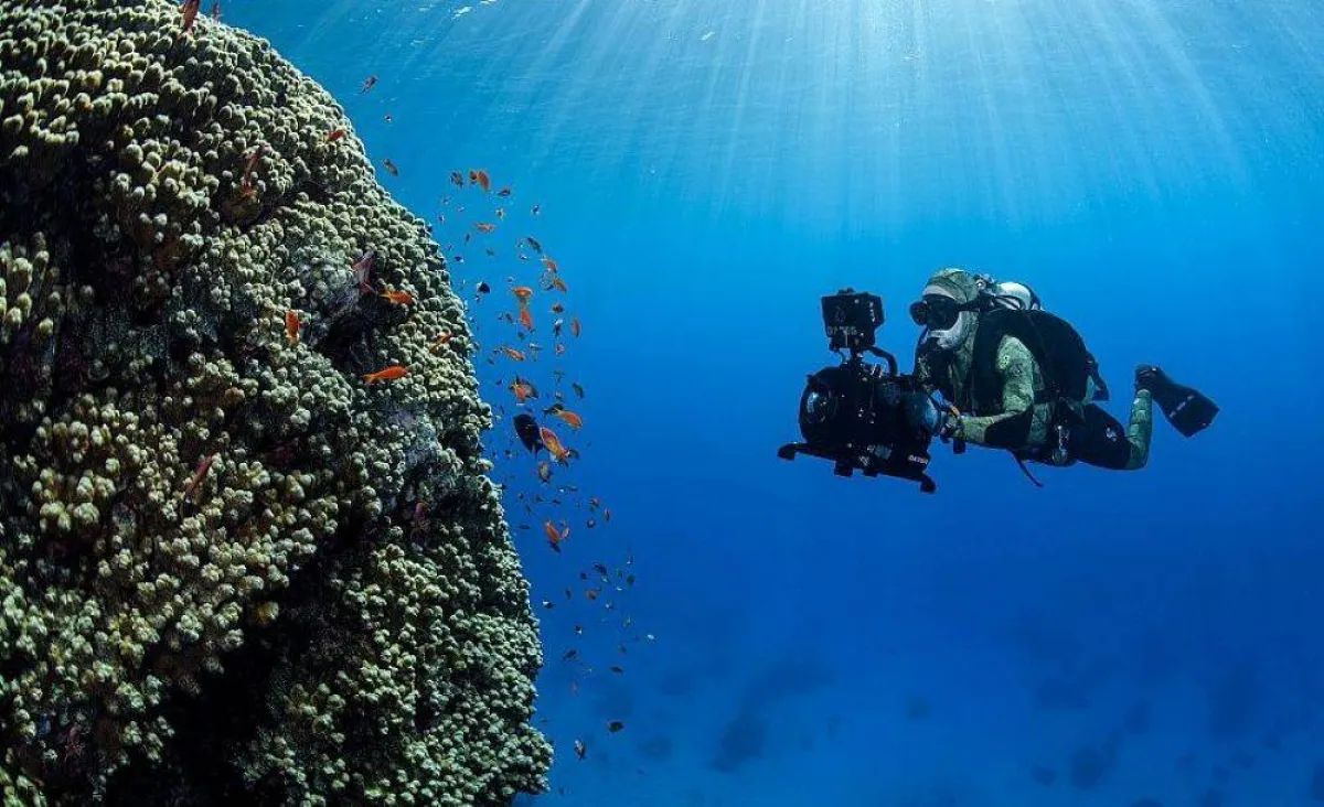 في أعماق البحر الأحمر