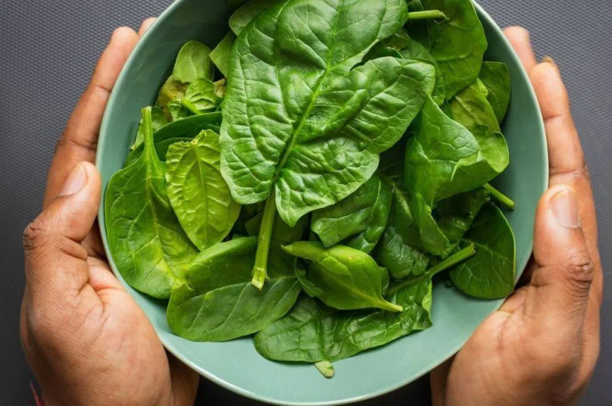 فوائد السبانخ للنساء ستجبرك على تناوله