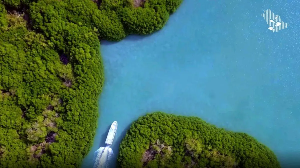 السعودية الخضراء