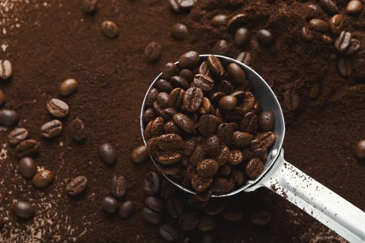 تلوين الشعر