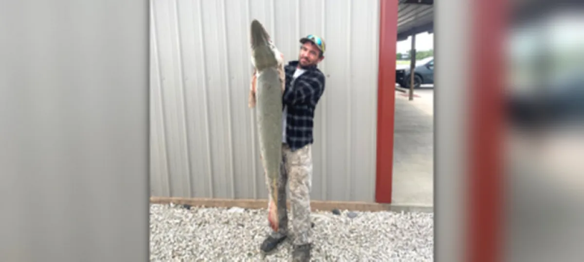 أمريكي يصطاد سمكة التمساح النادرة