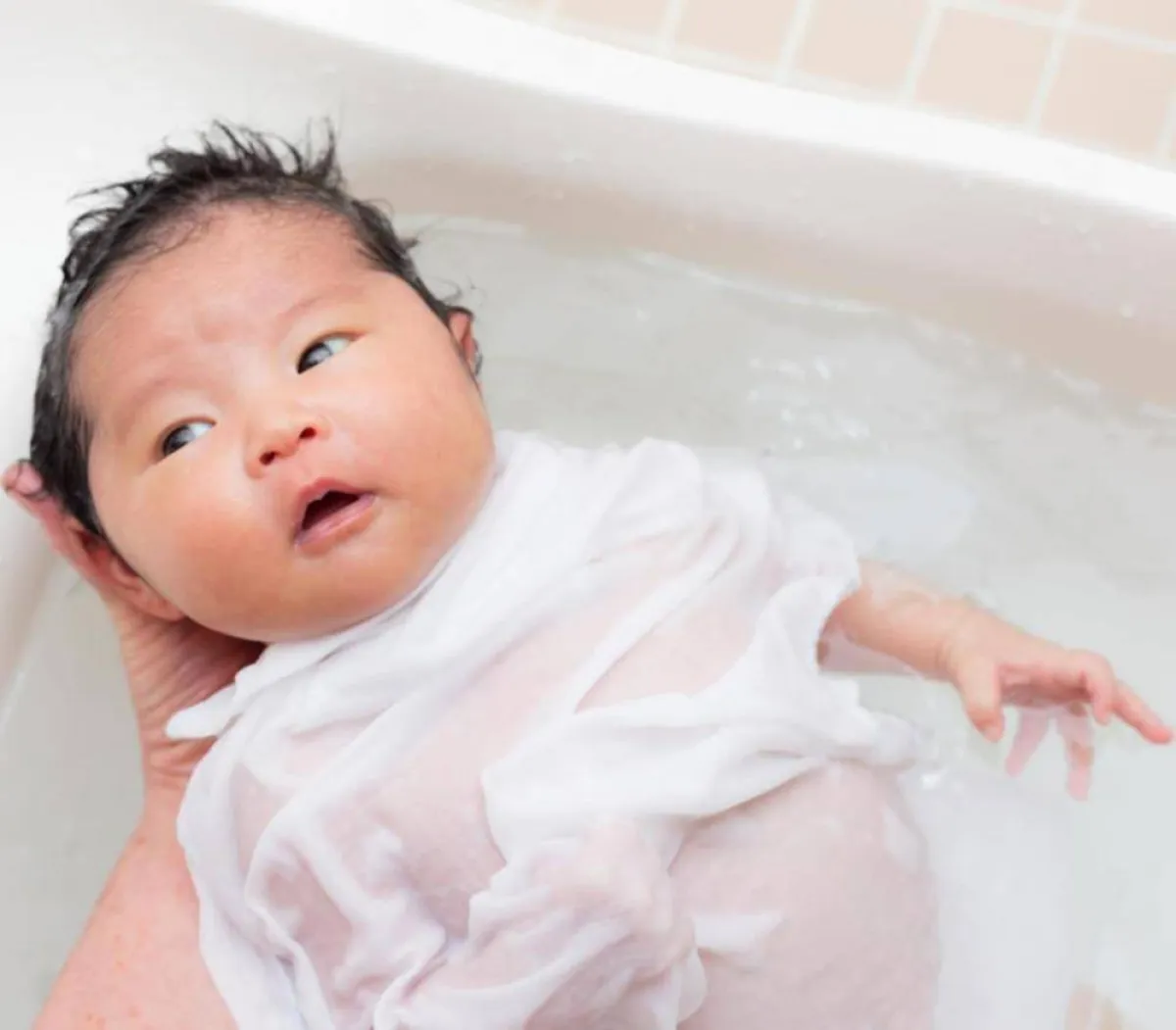 صورة لحمام الرضيع