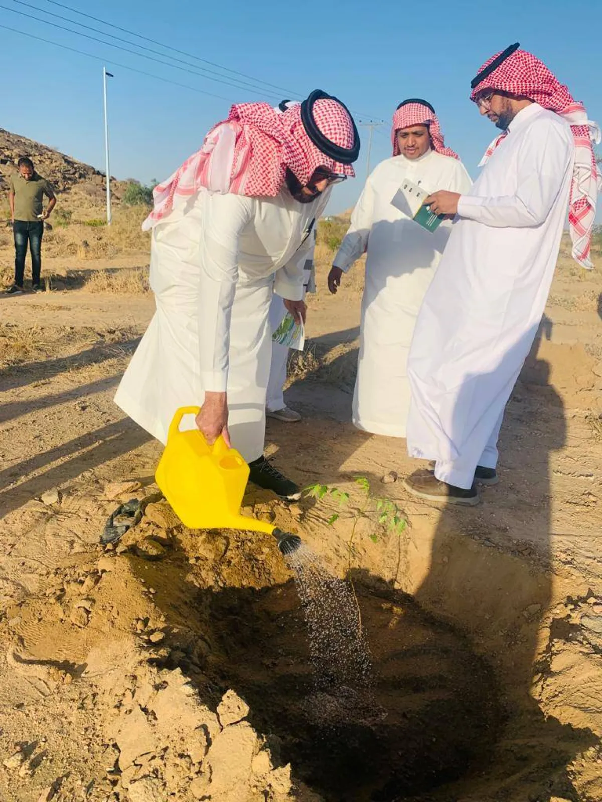 أثناء عملية التشجير