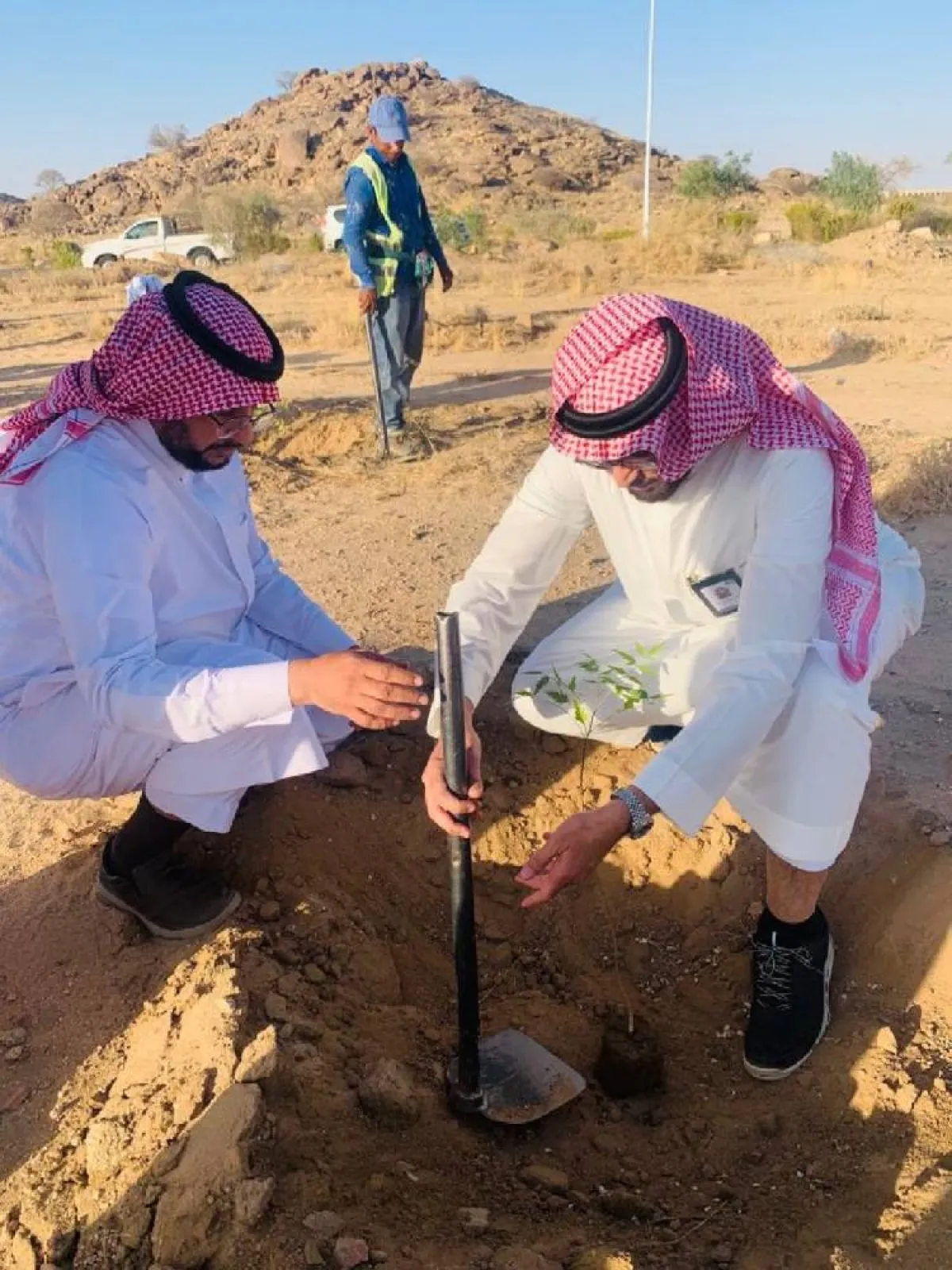 حملة تطوعية لتشجير متنزه سيسد الوطني ضمن حملة لنجعلها خضراء