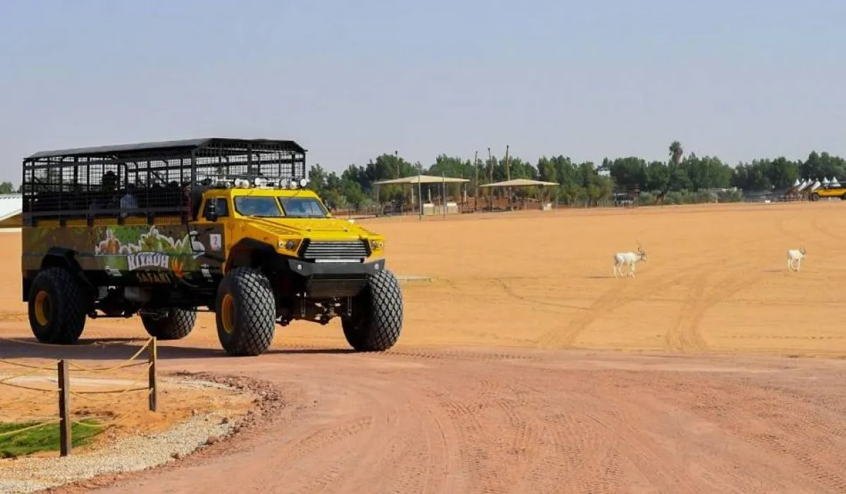 سيارة تأخذ زائري سفاري الرياض في جولة بين الحيوانات. المصدر (واس)
