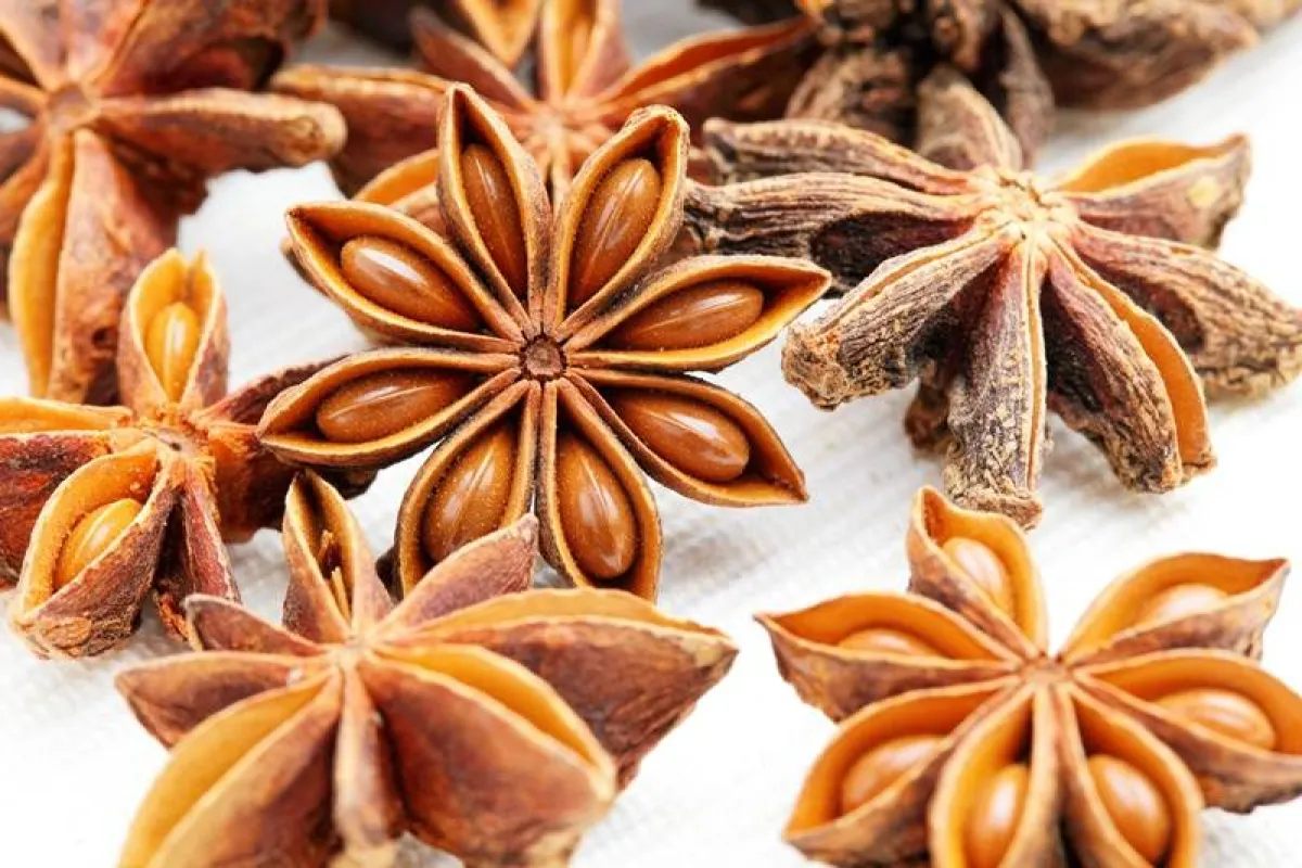 فوائد اليانسون للشعر