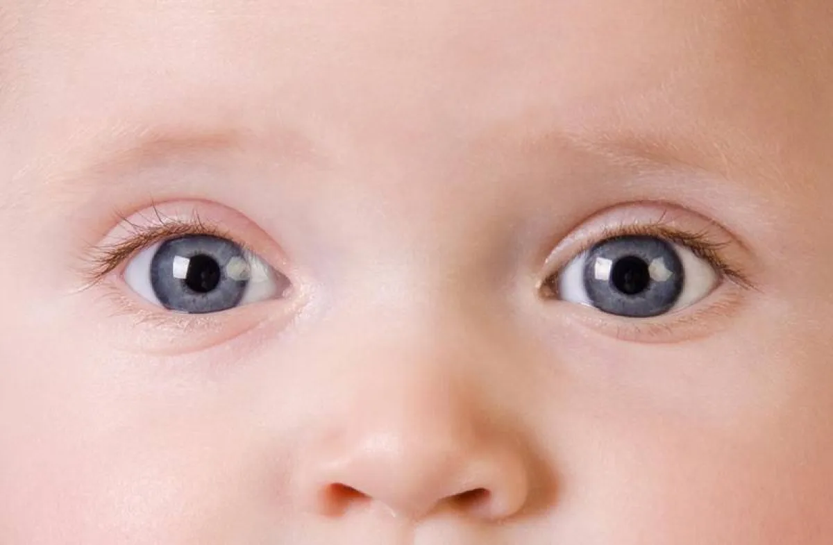 صورة لطفل ينظر إلى الشاشة