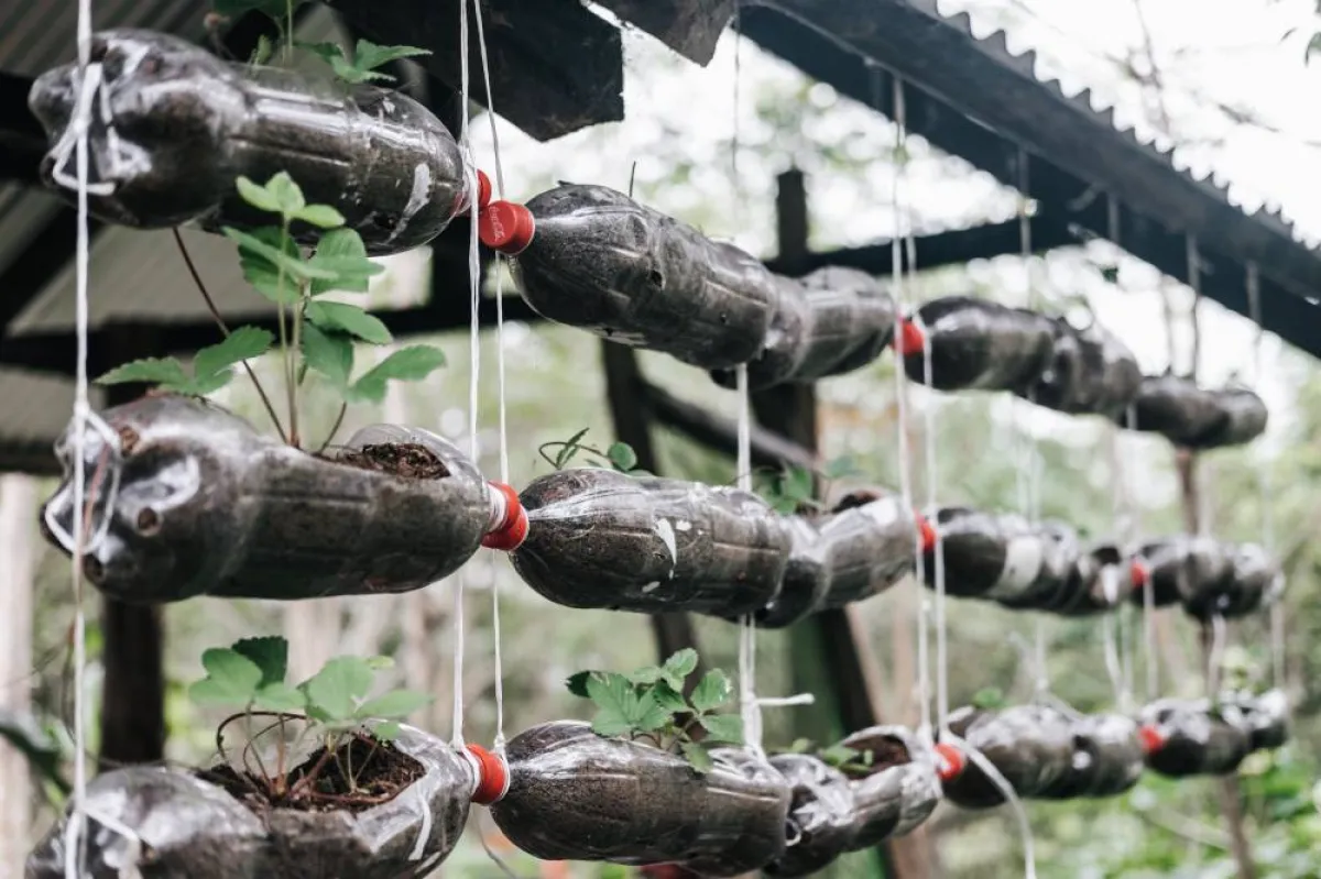 حديقة عمودية للزرع معدّة من القوارير البلاستيك