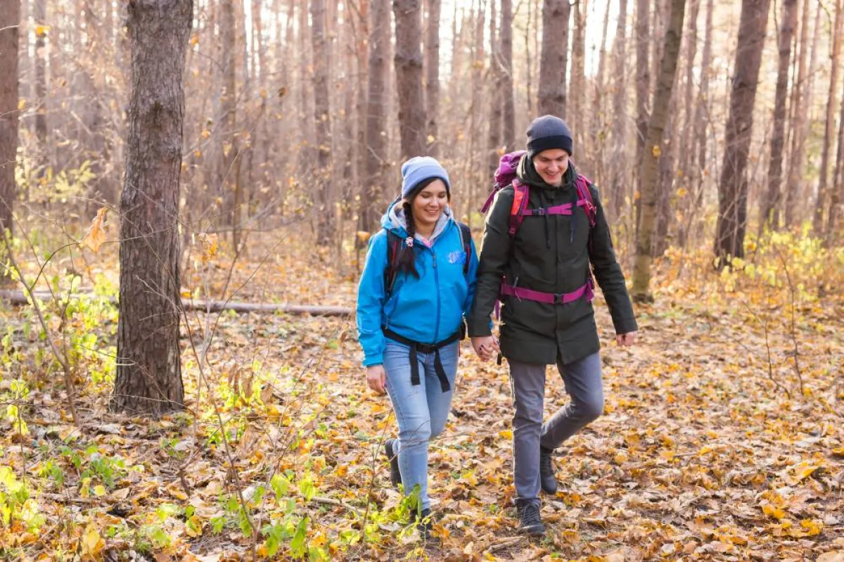 الاستمتاع بأجواء الخريف والسير في الغابات